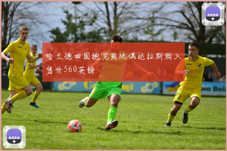 哈兰德回国抱浣熊玩偶达拉斯购入售价560英镑