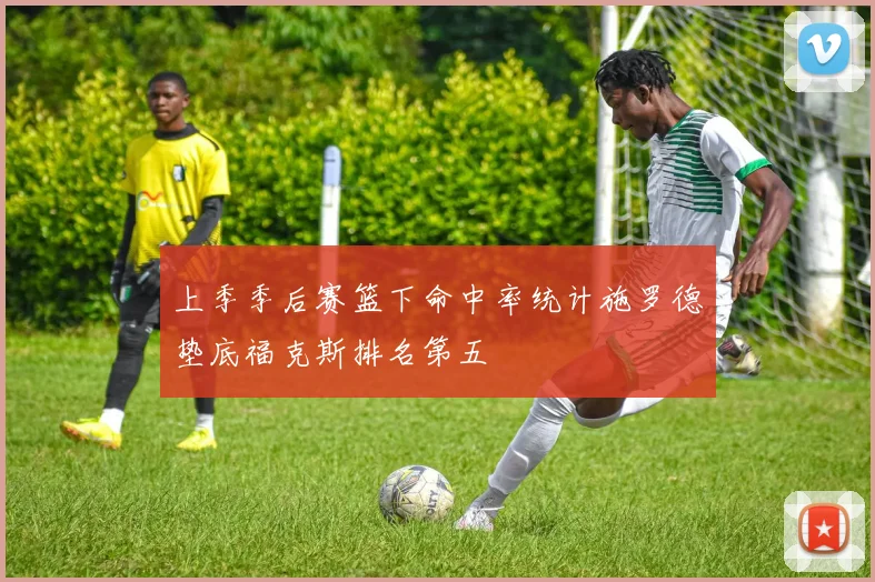 上季季后赛篮下命中率统计施罗德垫底福克斯排名第五